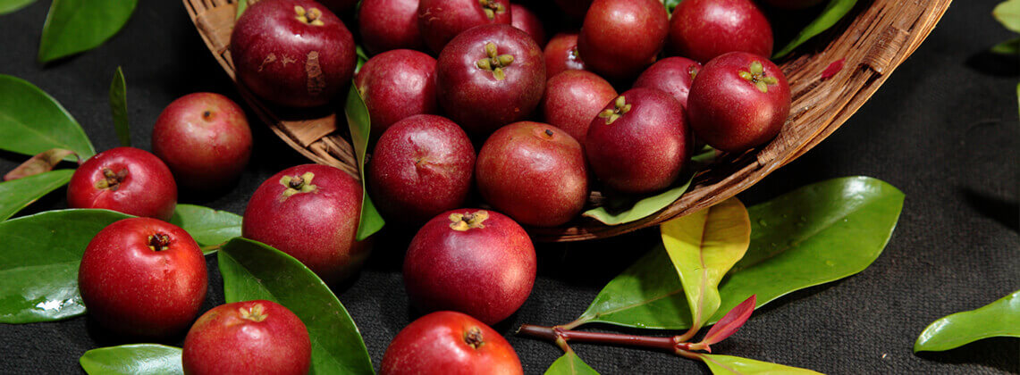 kokum_butter_produced
